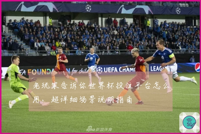 老玩家告诉你世界杯投注平台怎么用，超详细场景说明指南