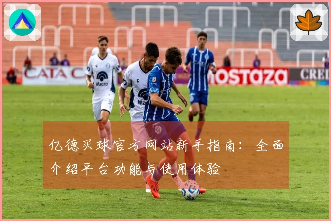 亿德买球官方网站新手指南：全面介绍平台功能与使用体验